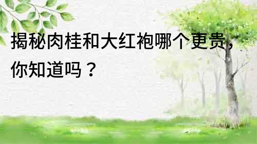 揭秘肉桂和大紅袍哪個更貴，你知道嗎？