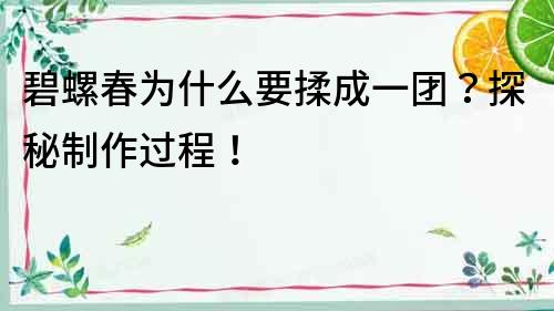 碧螺春為什么要揉成一團？探秘制作過程！
