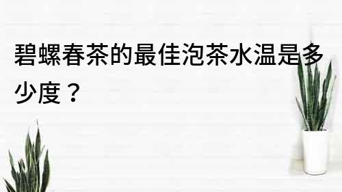 碧螺春茶的最佳泡茶水溫是多少度？
