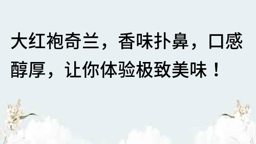 大紅袍奇蘭，香味撲鼻，口感醇厚，讓你體驗極致美味！