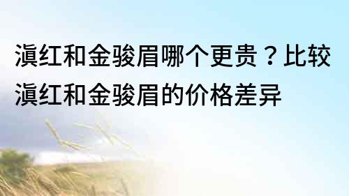 滇紅和金駿眉哪個更貴？比較滇紅和金駿眉的價格差異
