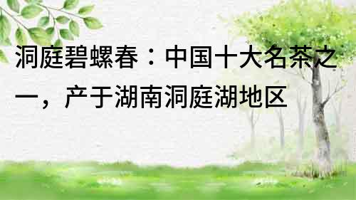洞庭碧螺春：中國十大名茶之一，產于湖南洞庭湖地區