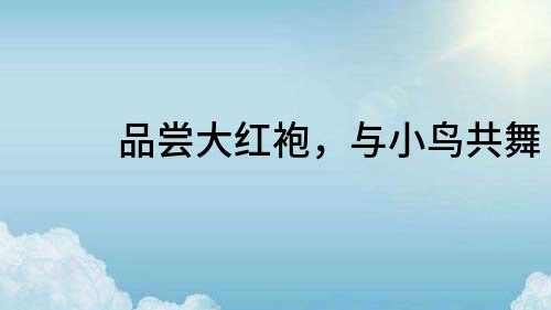 品嘗大紅袍，與小鳥共舞