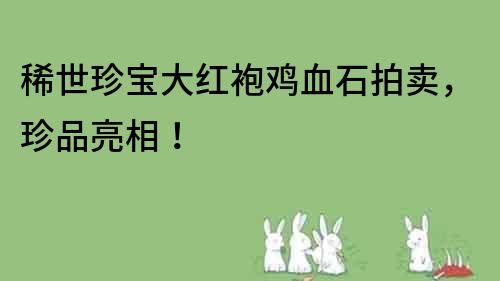 稀世珍寶大紅袍雞血石拍賣，珍品亮相！