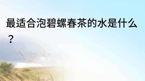 最適合泡碧螺春茶的水是什么？