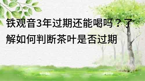 鐵觀音3年過(guò)期還能喝嗎？了解如何判斷茶葉是否過(guò)期