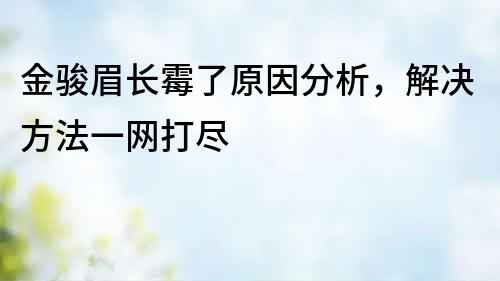 金駿眉長霉了原因分析，解決方法一網(wǎng)打盡