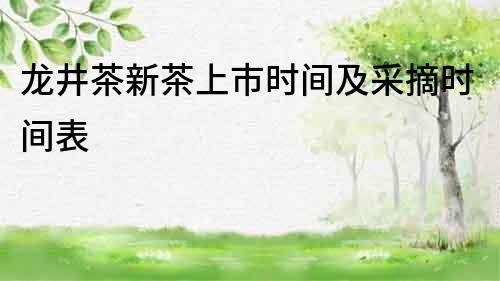 龍井茶新茶上市時間及采摘時間表