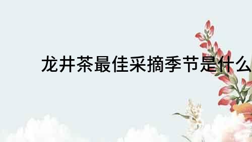 龍井茶最佳采摘季節是什么？