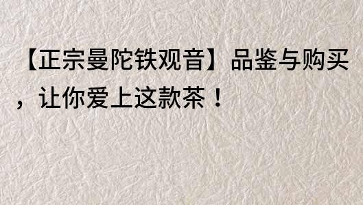 【正宗曼陀鐵觀音】品鑒與購買，讓你愛上這款茶！