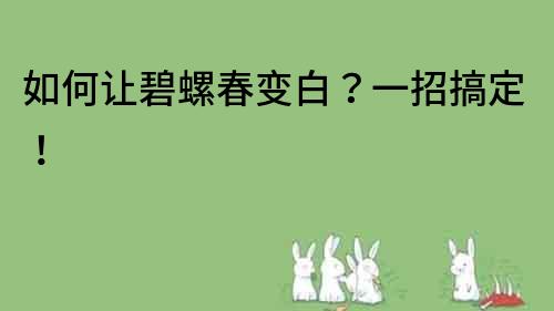 如何讓碧螺春變白？一招搞定！