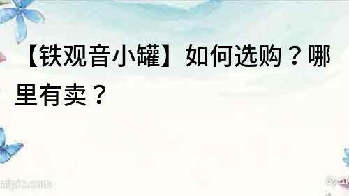 【鐵觀音小罐】如何選購？哪里有賣？