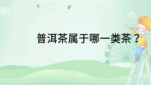 普洱茶屬于哪一類(lèi)茶？