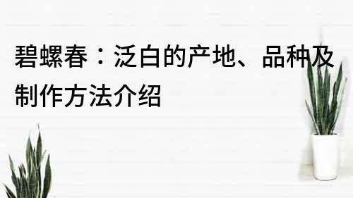 碧螺春：泛白的產地、品種及制作方法介紹