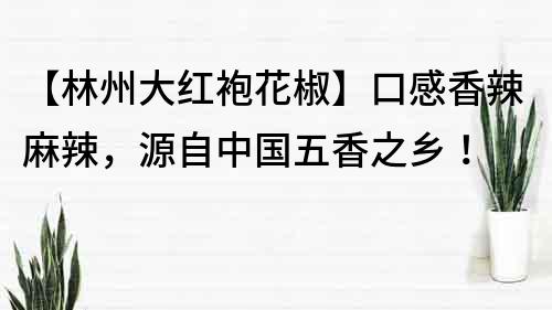 【林州大紅袍花椒】口感香辣麻辣，源自中國五香之鄉！