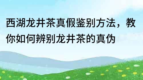 西湖龍井茶真假鑒別方法，教你如何辨別龍井茶的真偽