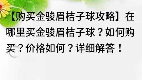 【購買金駿眉桔子球攻略】在哪里買金駿眉桔子球？如何購買？價格如何？詳細解答！