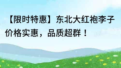 【限時特惠】東北大紅袍李子價格實惠，品質超群！