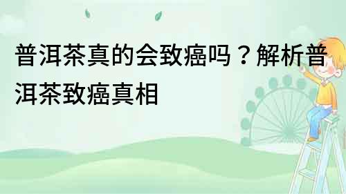 普洱茶真的會致癌嗎？解析普洱茶致癌真相