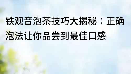 鐵觀音泡茶技巧大揭秘：正確泡法讓你品嘗到最佳口感