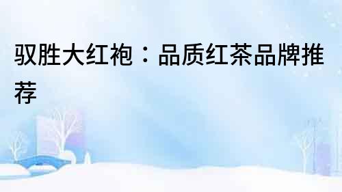 馭勝大紅袍：品質(zhì)紅茶品牌推薦