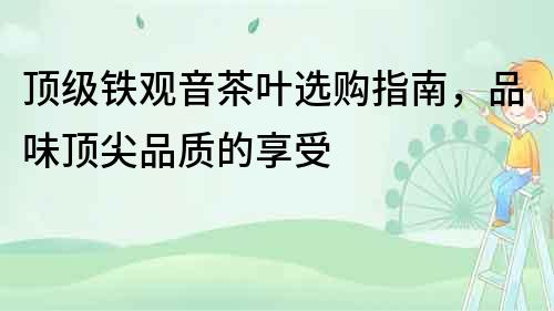 頂級鐵觀音茶葉選購指南，品味頂尖品質的享受