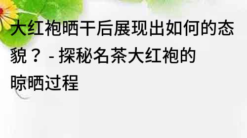 大紅袍曬干后展現出如何的態貌？ - 探秘名茶大紅袍的晾曬過程