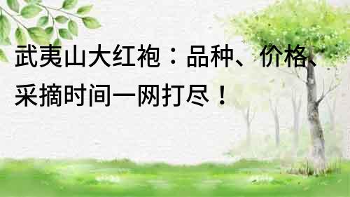 武夷山大紅袍：品種、價格、采摘時間一網打盡！