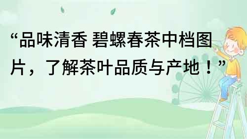 “品味清香 碧螺春茶中檔圖片，了解茶葉品質與產地！”