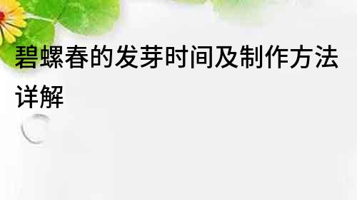碧螺春的發(fā)芽時(shí)間及制作方法詳解