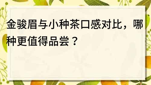 金駿眉與小種茶口感對比，哪種更值得品嘗？