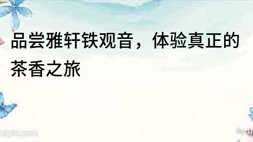 品嘗雅軒鐵觀音，體驗真正的茶香之旅