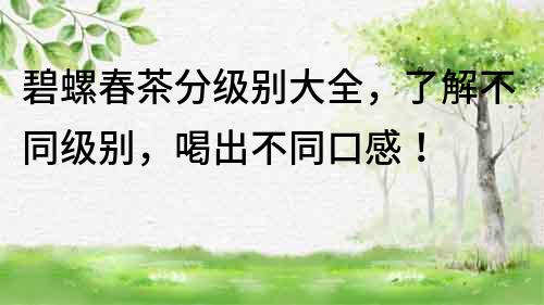 碧螺春茶分級別大全，了解不同級別，喝出不同口感！