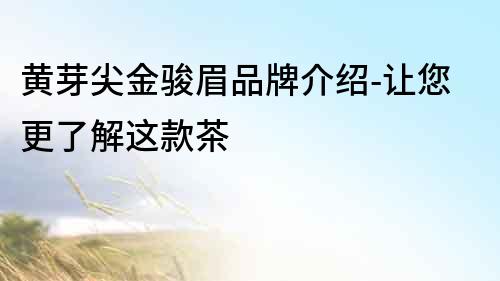黃芽尖金駿眉品牌介紹-讓您更了解這款茶
