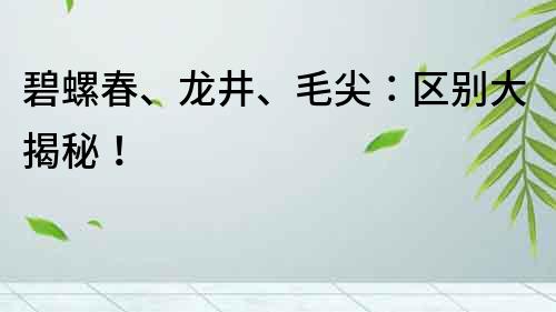 碧螺春、龍井、毛尖：區別大揭秘！
