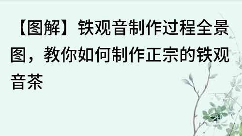 【圖解】鐵觀音制作過程全景圖，教你如何制作正宗的鐵觀音茶