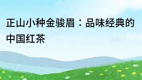 正山小種金駿眉：品味經典的中國紅茶