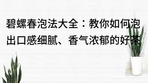 碧螺春泡法大全：教你如何泡出口感細膩、香氣濃郁的好茶