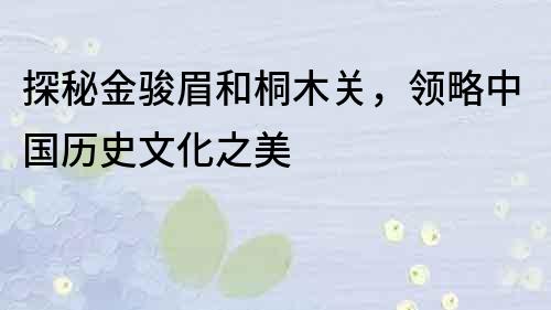 探秘金駿眉和桐木關，領略中國歷史文化之美