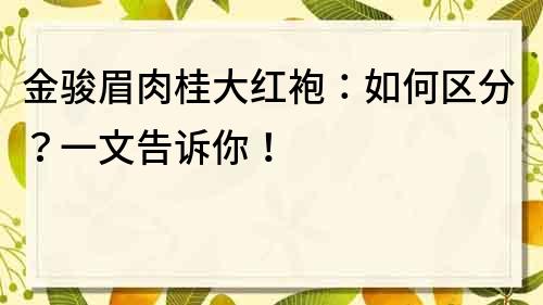 金駿眉肉桂大紅袍：如何區分？一文告訴你！