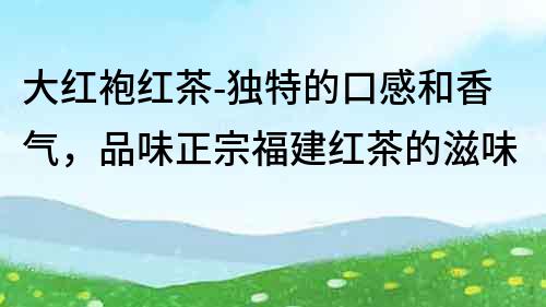 大紅袍紅茶-獨特的口感和香氣，品味正宗福建紅茶的滋味