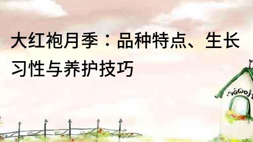 大紅袍月季：品種特點、生長習性與養護技巧