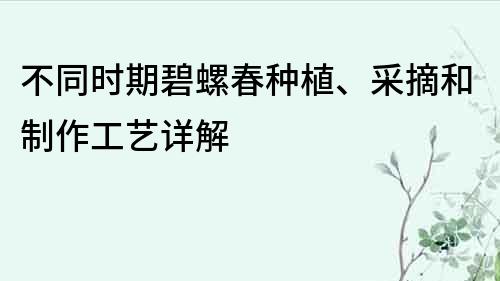 不同時(shí)期碧螺春種植、采摘和制作工藝詳解
