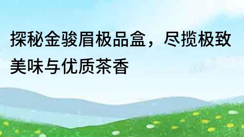 探秘金駿眉極品盒，盡攬極致美味與優質茶香
