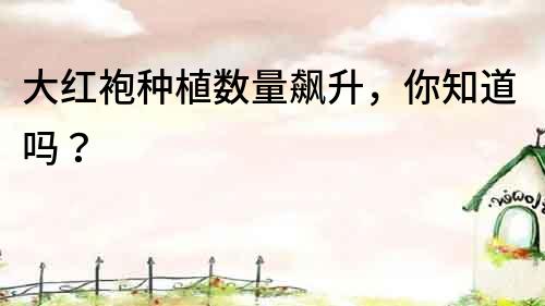 大紅袍種植數量飆升，你知道嗎？