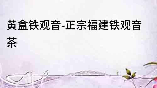 黃盒鐵觀音-正宗福建鐵觀音茶