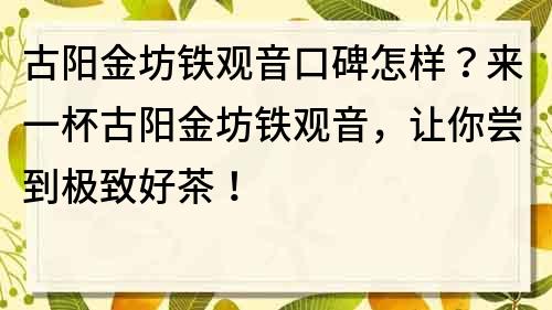 古陽金坊鐵觀音口碑怎樣？來一杯古陽金坊鐵觀音，讓你嘗到極致好茶！