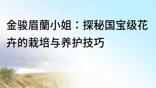 金駿眉蘭小姐：探秘國寶級花卉的栽培與養護技巧