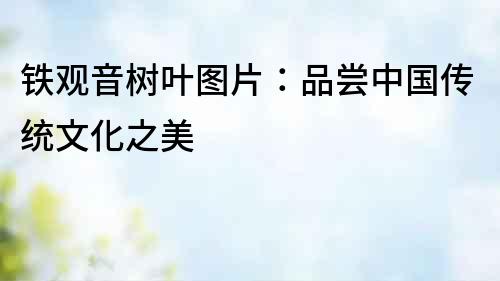 鐵觀音樹葉圖片：品嘗中國傳統文化之美