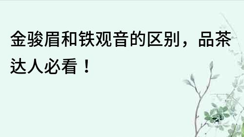 金駿眉和鐵觀音的區別，品茶達人必看！